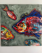 Charger l&#39;image dans la galerie, Bandeau FISH
